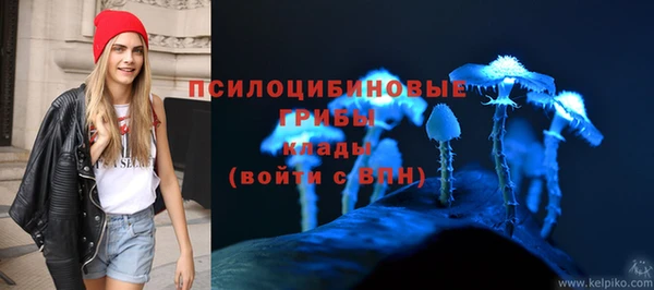 скорость mdpv Переславль-Залесский