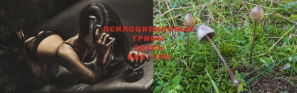 MDMA Пересвет