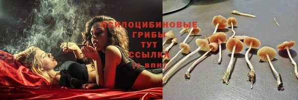 тгк Пестово