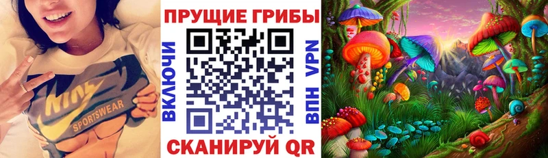 Псилоцибиновые грибы GOLDEN TEACHER  Купить где  Екатеринбург 