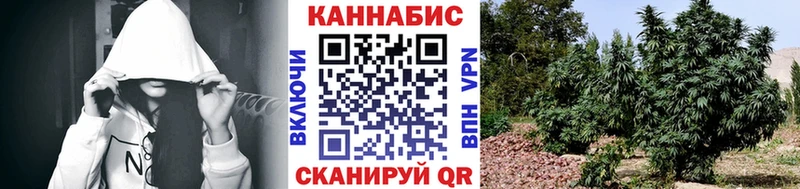Бошки Шишки Amnesia Екатеринбург